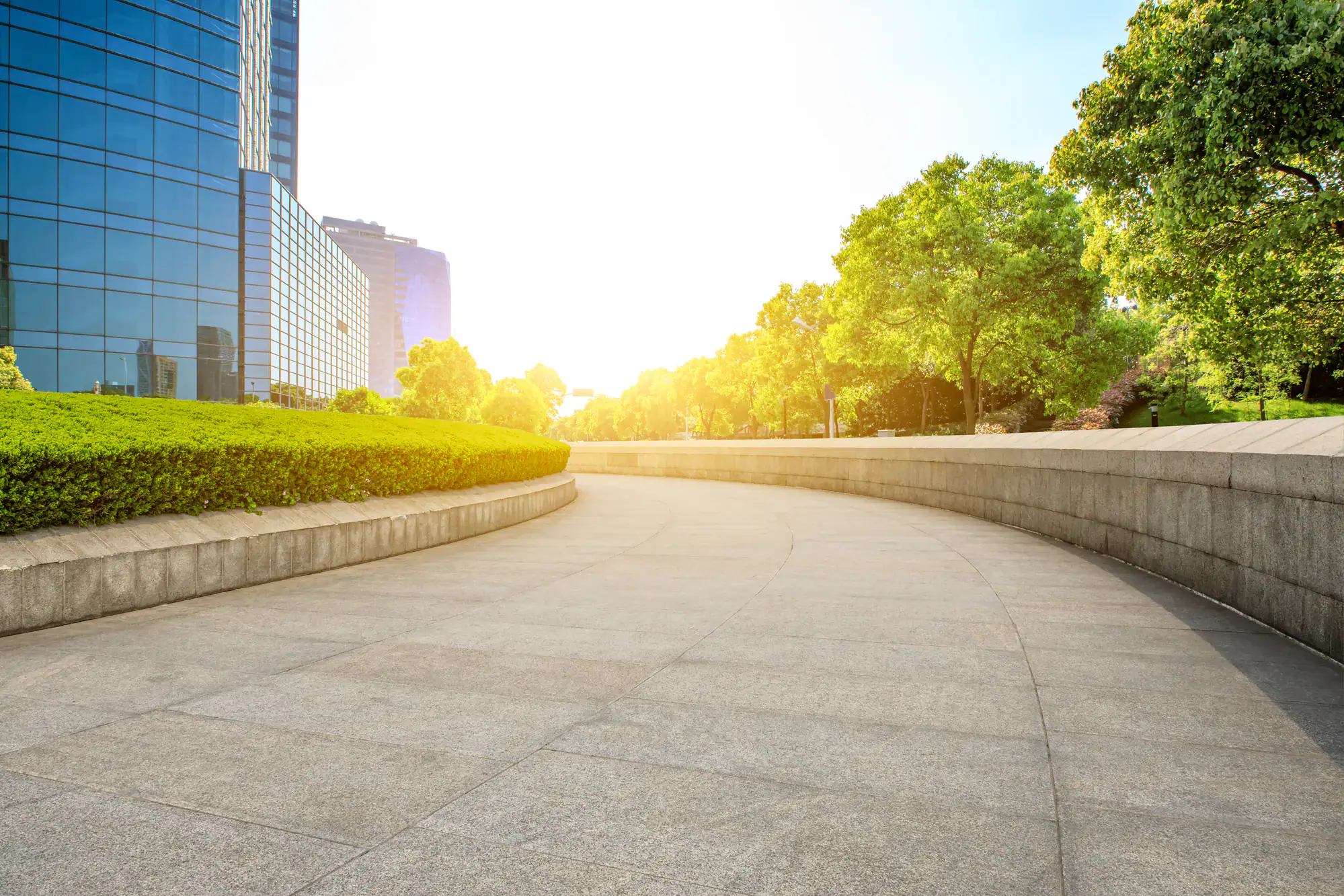 A wide, empty curved walkway bordered by low stone walls, with green trees and modern glass buildings under bright sunlight in an urban park setting.